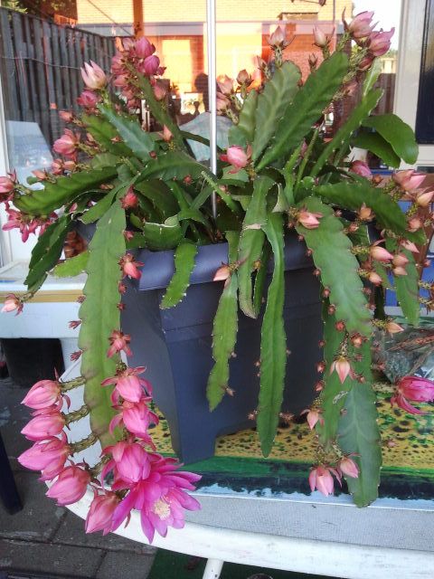 2014-06-22 19.27.13.jpg